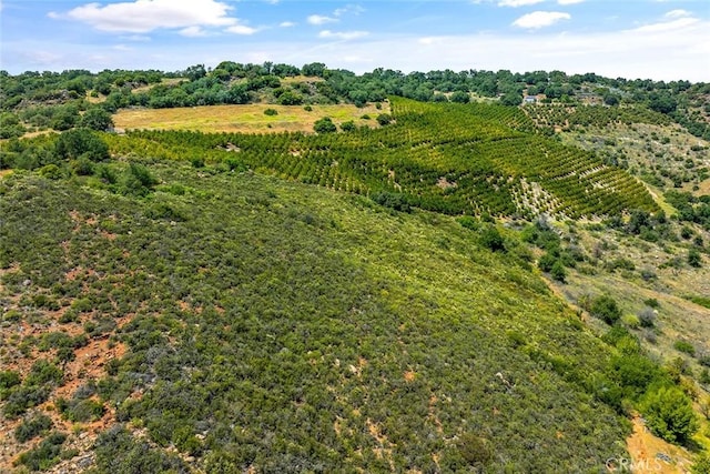 55 Via Escalon, Temecula, CA 92590