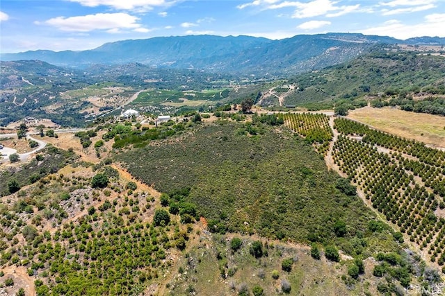 55 Via Escalon, Temecula, CA 92590