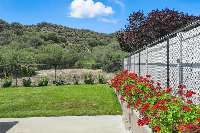 15144 Poppy Meadow St, Canyon Country, CA 91387 - view of yard