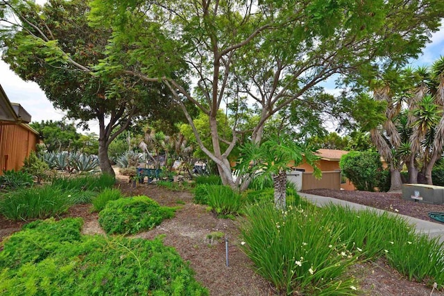 3621 Vista Campana S Unit 11, Oceanside, CA 92057 - view of yard