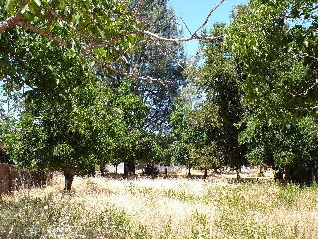3225 Marina View Dr, Kelseyville, CA 95451 - photo 1