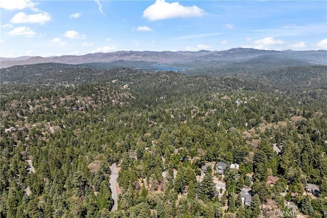 600 Rose Ln, Twin Peaks, CA 92391 - aerial view of a heavily wooded area