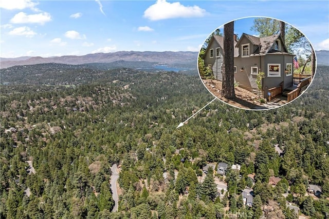 600 Rose Ln, Twin Peaks, CA 92391 - aerial view of property and surrounding area with a heavily wooded area and a mountainous background