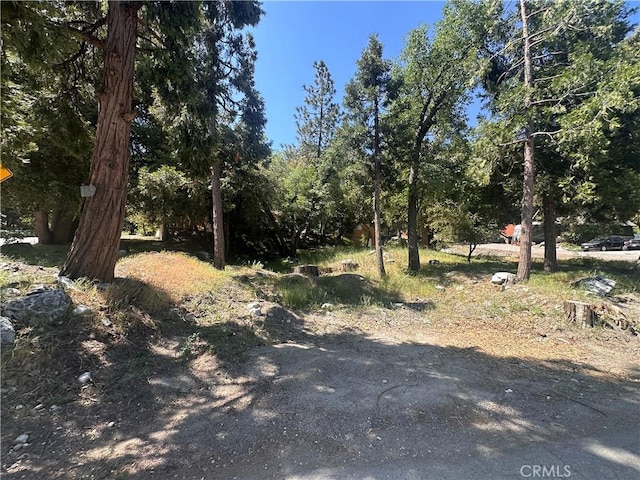 0 Valley Of The Falls Dr, Forest Falls, CA 92339