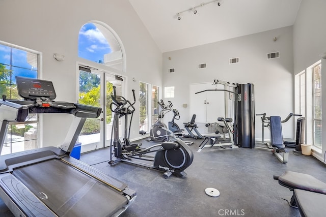 376 Gullotti Pl, Placentia, CA 92870 - workout area featuring high vaulted ceiling, healthy amount of natural light, and rail lighting