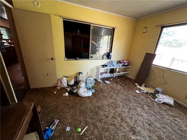 12449 6th St, Yucaipa, CA 92399 - interior space with a textured ceiling