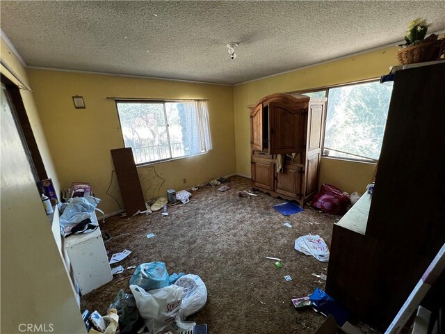 12449 6th St, Yucaipa, CA 92399 - unfurnished bedroom featuring multiple windows, a textured ceiling, and carpet floors
