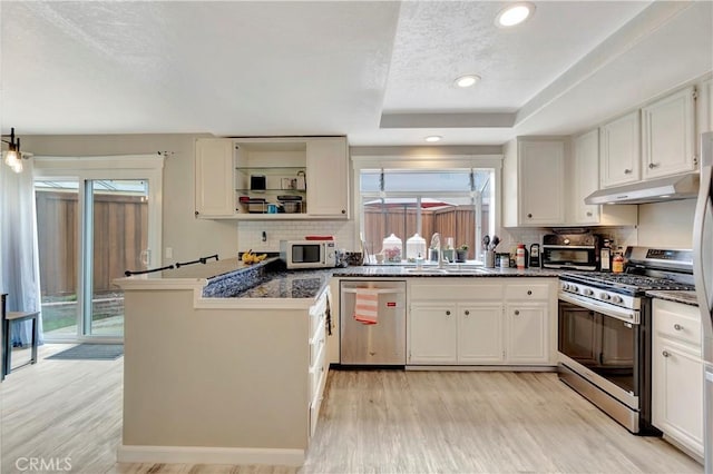 30042 Oceanus, Laguna Niguel, CA 92677 - kitchen with stainless steel appliances, under cabinet range hood, light wood-style floors, decorative backsplash, and white cabinetry