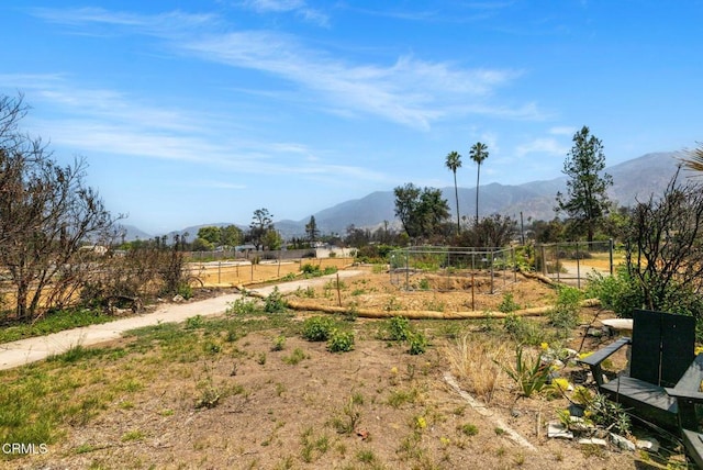 389 W Mendocino St, Altadena, CA 91001 - view of yard featuring a mountain view, a view of countryside, and a garden