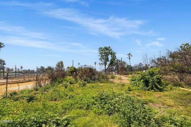 389 W Mendocino St, Altadena, CA 91001 - view of yard