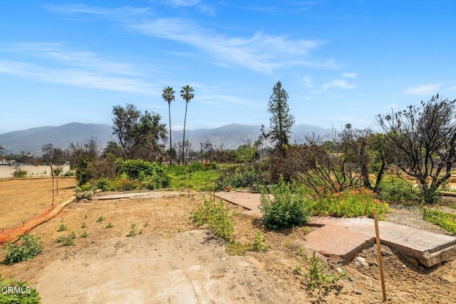 389 W Mendocino St, Altadena, CA 91001 - view of yard with a mountain view and a patio