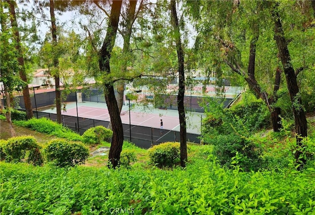 22790 Lakeway Dr Unit 461, Diamond Bar, CA 91765 - view of tennis court