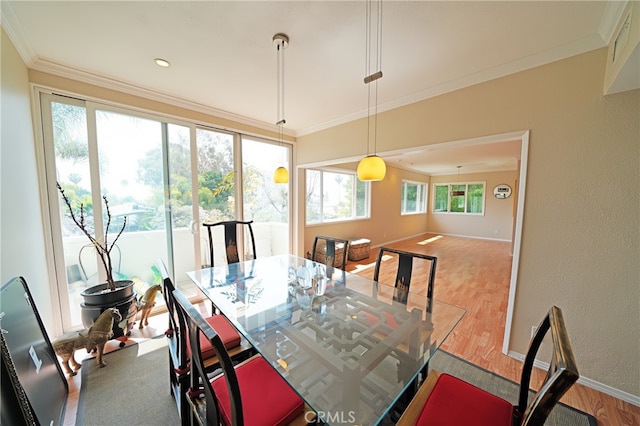 1525 N Hayworth Ave Unit 304, Los Angeles, CA 90046 - dining space featuring wood finished floors, ornamental molding, and a textured wall