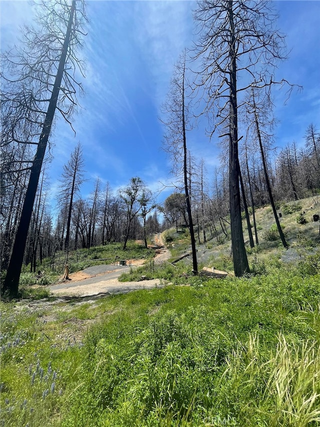 180 Mirage Lake Rd, Berry Creek, CA 95916