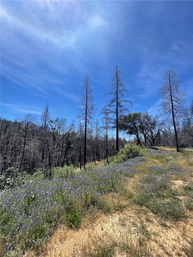 180 Mirage Lake Rd, Berry Creek, CA 95916