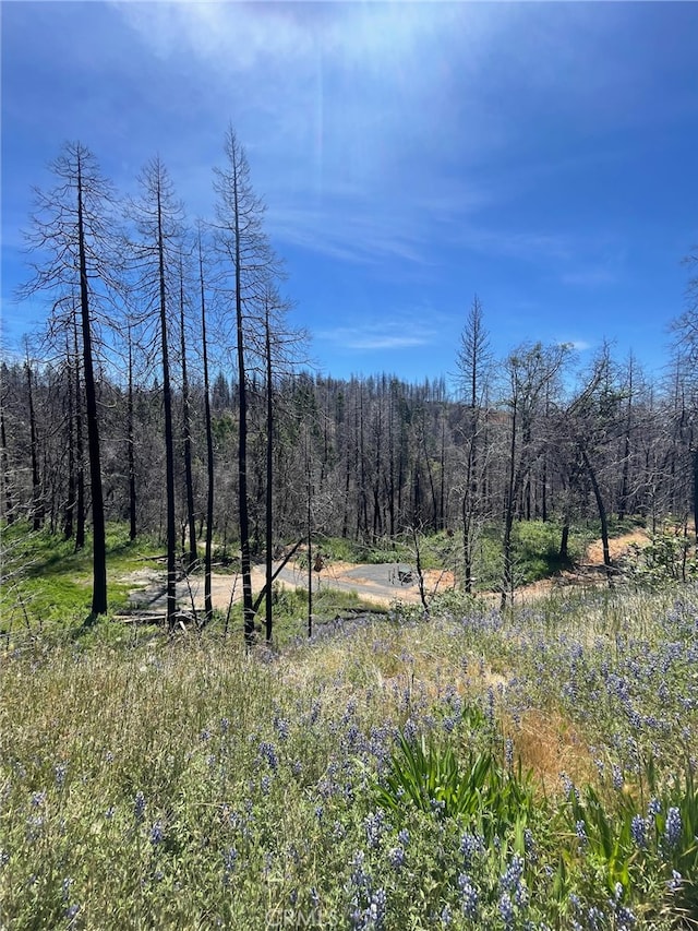 180 Mirage Lake Rd, Berry Creek, CA 95916