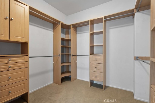 24058 Via Vis, Valencia, CA 91354 - walk in closet featuring light carpet