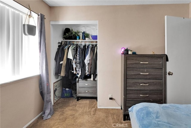 8960 Buckthorn Ave, Hesperia, CA 92345 - bedroom with carpet flooring and a closet