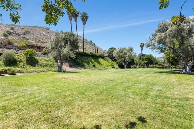 3331 Via Altamira, Fallbrook, CA 92028 - view of green lawn with a mountain view