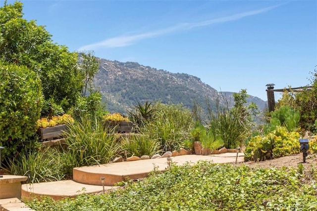 3331 Via Altamira, Fallbrook, CA 92028 - view of mountain background