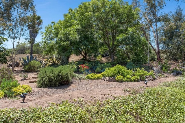 3331 Via Altamira, Fallbrook, CA 92028 - view of local wilderness