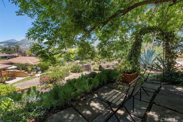 3331 Via Altamira, Fallbrook, CA 92028 - view of patio / terrace with a mountain view