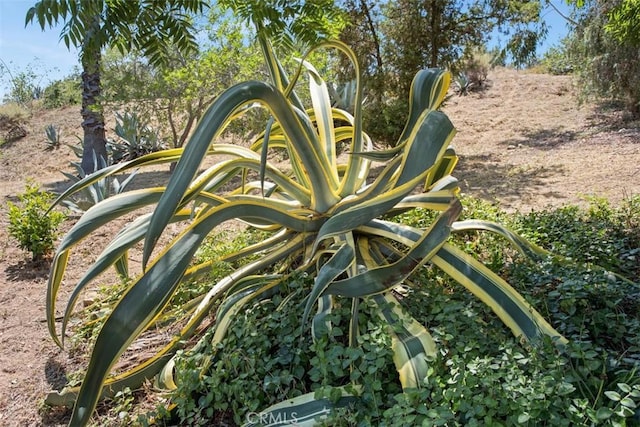 3331 Via Altamira, Fallbrook, CA 92028 - exterior view