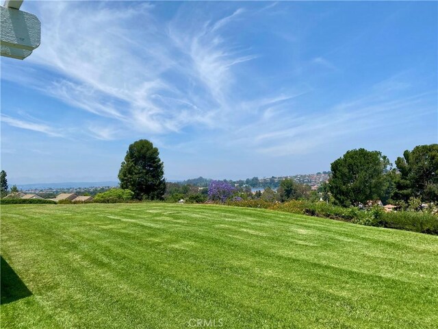 28432 Alava, Mission Viejo, CA 92692 - view of green lawn