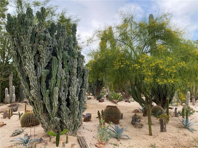 28432 Alava, Mission Viejo, CA 92692 - view of yard