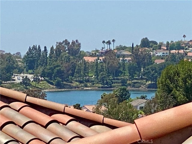 28432 Alava, Mission Viejo, CA 92692 - water view