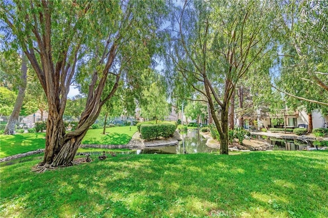26701 Quail Crk Unit 31, Laguna Hills, CA 92656 - view of grassy yard