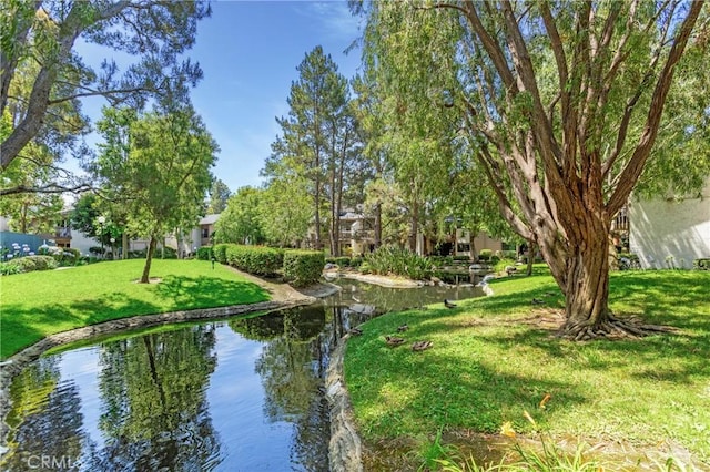 26701 Quail Crk Unit 31, Laguna Hills, CA 92656 - surrounding community with a lawn