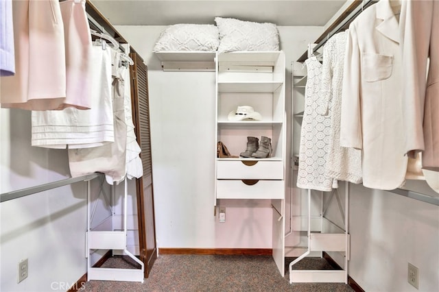 520 W Santa Clara Ave, Santa Ana, CA 92706 - spacious closet with carpet flooring