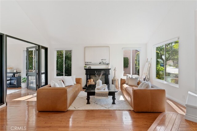 12026 Haven Crest St, Moorpark, CA 93021 - living area with plenty of natural light, hardwood / wood-style flooring, high vaulted ceiling, and a glass covered fireplace