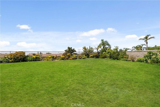 14181 Vai Brothers Dr, Rancho Cucamonga, CA 91739 - view of yard