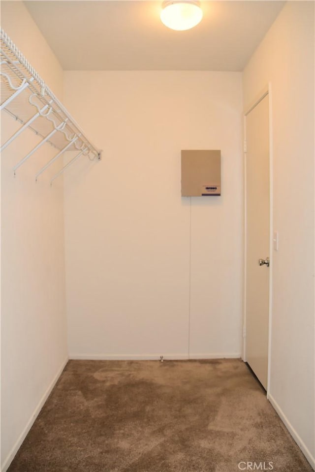 16558 Jasmine St, Victorville, CA 92395 - spacious closet with carpet floors