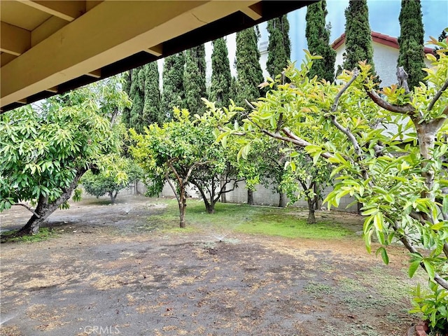 13842 Olive St, Baldwin Park, CA 91706 - photo 19