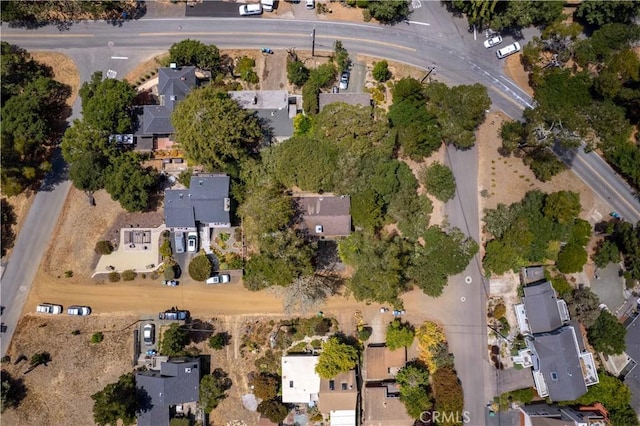 2755 Taft Pl, Cambria, CA 93428 - photo 43