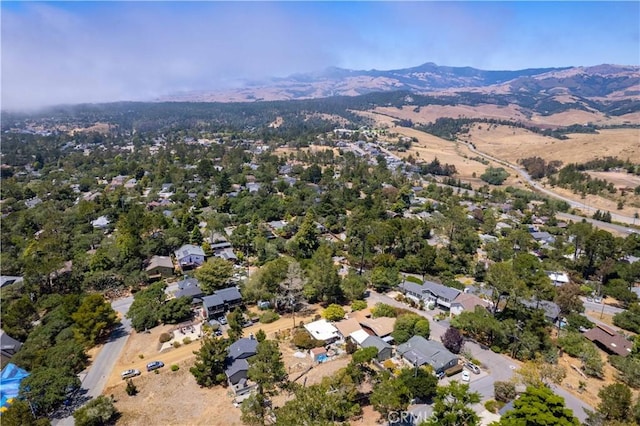 2755 Taft Pl, Cambria, CA 93428 - photo 42