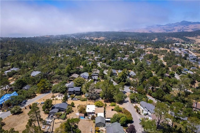 2755 Taft Pl, Cambria, CA 93428 - photo 41