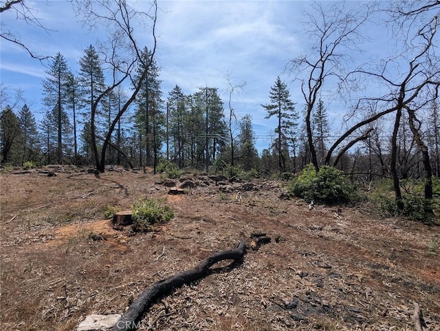 8499 Cohasset Rd, Cohasset, CA 95973