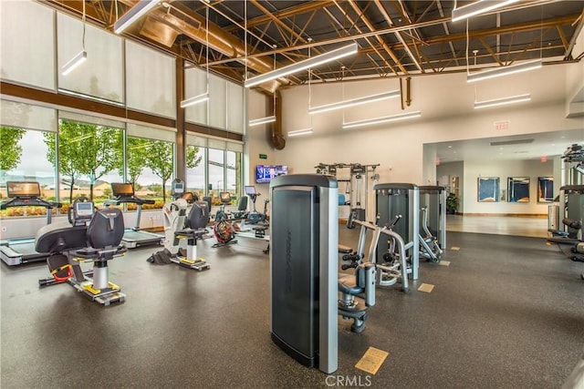 1563 Sunswept Way, Beaumont, CA 92223 - gym with a towering ceiling