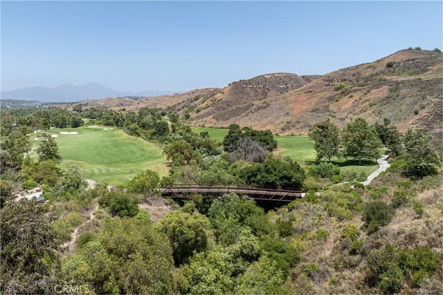 26491 Evergreen Rd, San Juan Capistrano, CA 92675 - photo 43