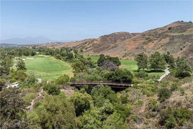 26491 Evergreen Rd, San Juan Capistrano, CA 92675 - photo 44