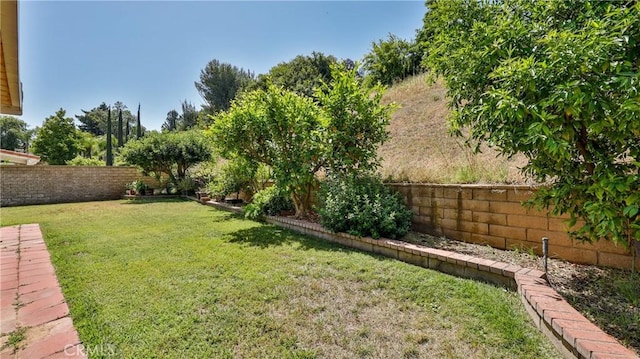25961 Brookmere Ave, Loma Linda, CA 92354 - view of fenced backyard