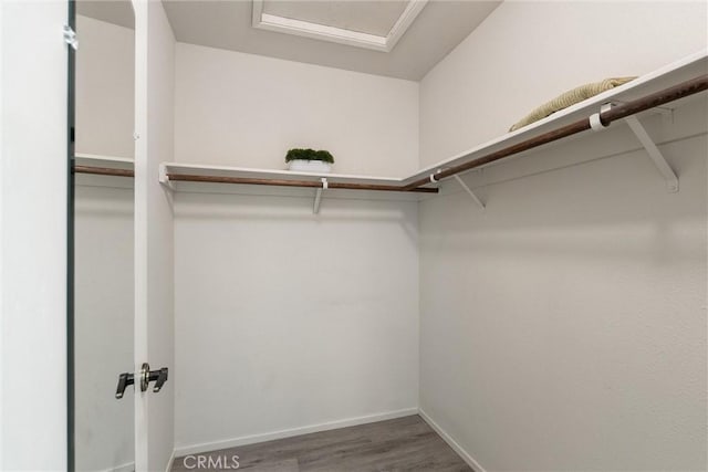 520 Wilshire Ct, Chico, CA 95973 - spacious closet featuring wood finished floors