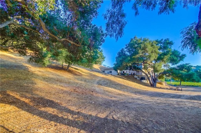 2424 Gird Rd, Fallbrook, CA 92028 - view of yard