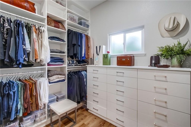 2424 Gird Rd, Fallbrook, CA 92028 - walk in closet featuring light wood-type flooring
