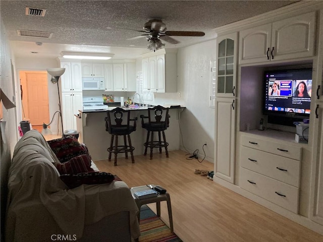 35590 Santa Fe St, Daggett, CA 92327 - living area featuring light wood finished floors, ceiling fan, and a textured ceiling
