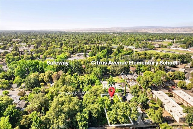 1131 Stewart Ave, Chico, CA 95926 - bird's eye view of a heavily wooded area